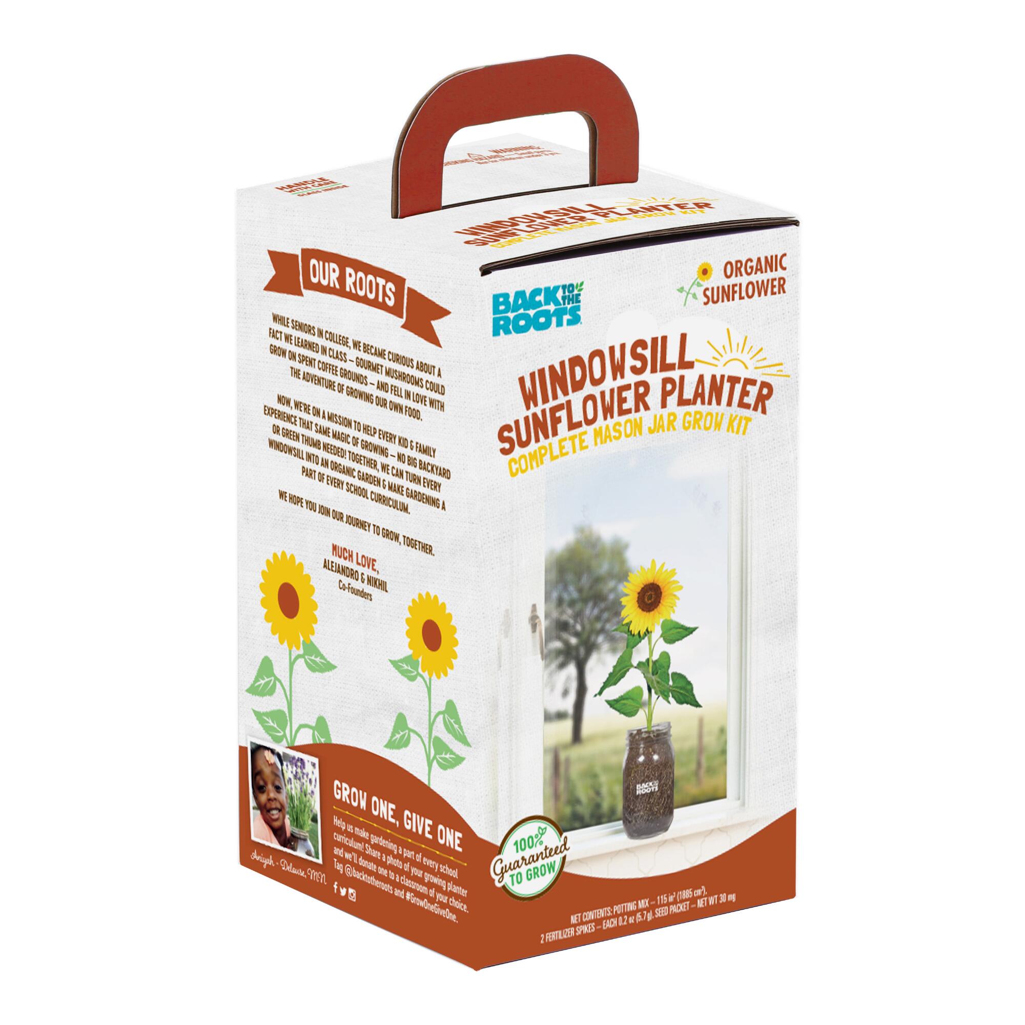 Back to the Roots Organic Sunflower Windowsill Grow Kit: Multi - Glass by World Market