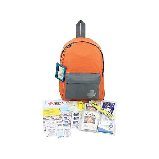 PHYSICIANSCARE 63 Pieces Emergency Preparedness Kit for 2-4 People (90001)