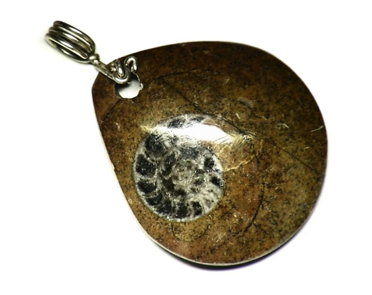 Natural Ammonite Fossil Pendant, Real Wire Wrap, Sterling Silver Necklace, Spiral Ancient Marine Invertebrate Jewelry