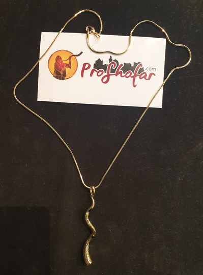 Silver Or Gold Plated Kodu Large Shofar Medalion Plus Neckless