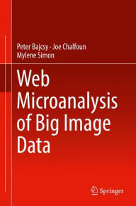 Web Microanalysis of Big Image Data Peter Bajcsy Author