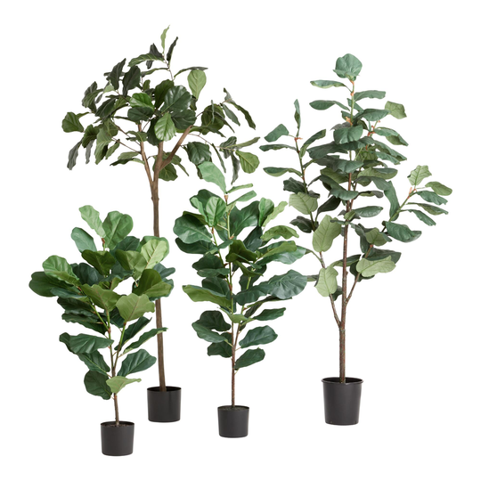 Faux Fiddle Leaf Fig Tree Collection by World Market