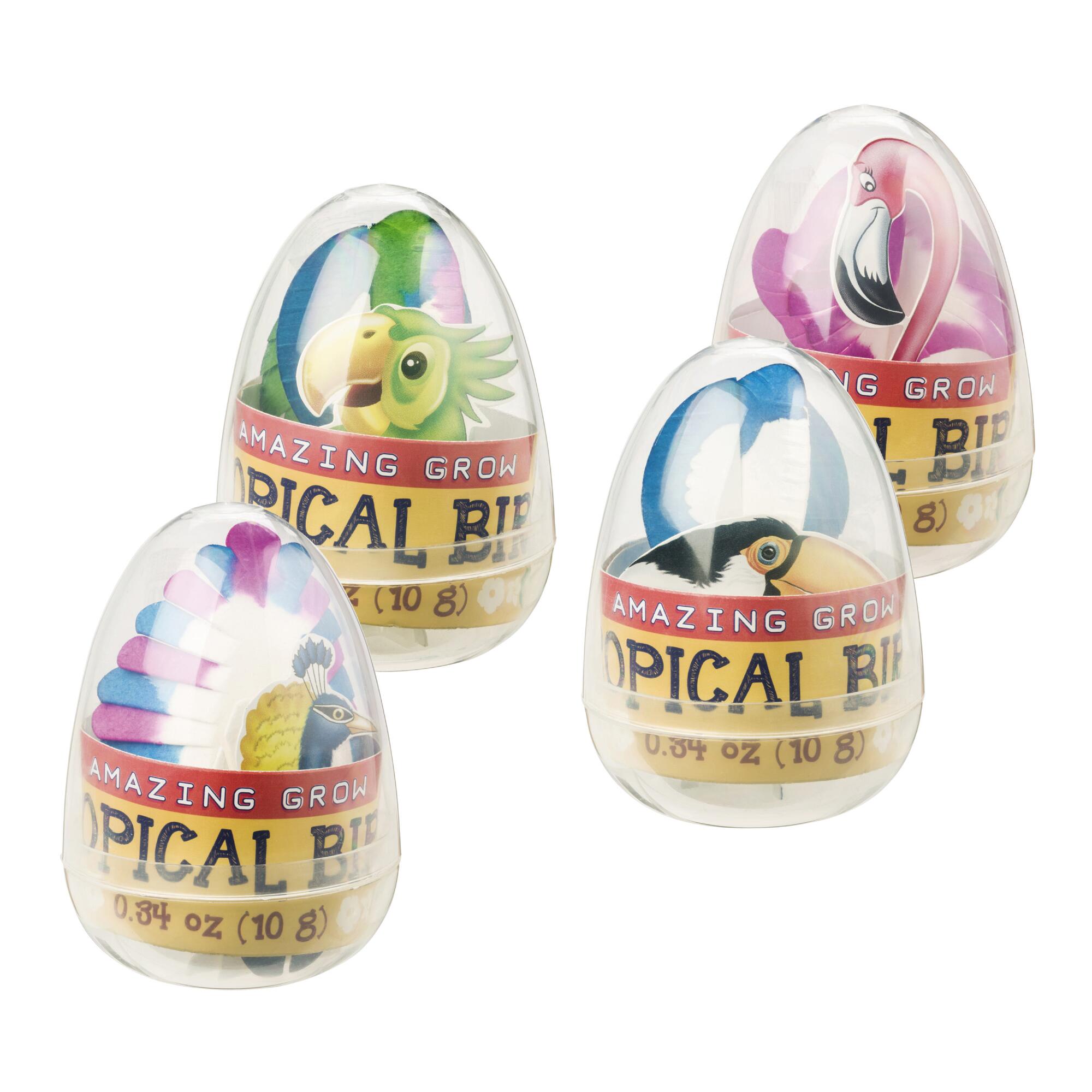 Toysmith Amazing Grow Tropical Birds Set of 4 by World Market