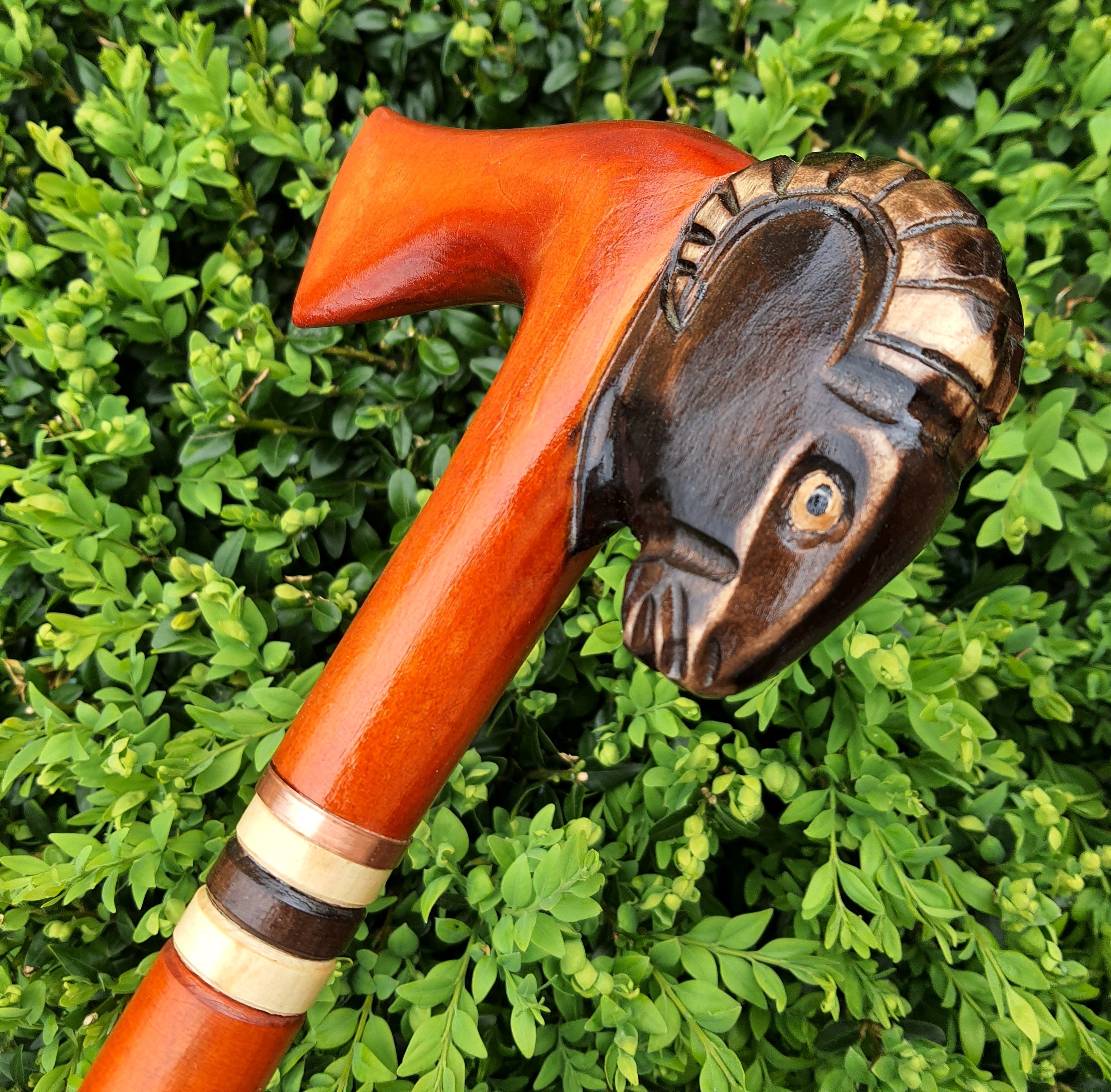 Walking Stick Canes Reed Wood Wooden Hand-Carved Carving Handmade Cane Accessories | Ram Axe