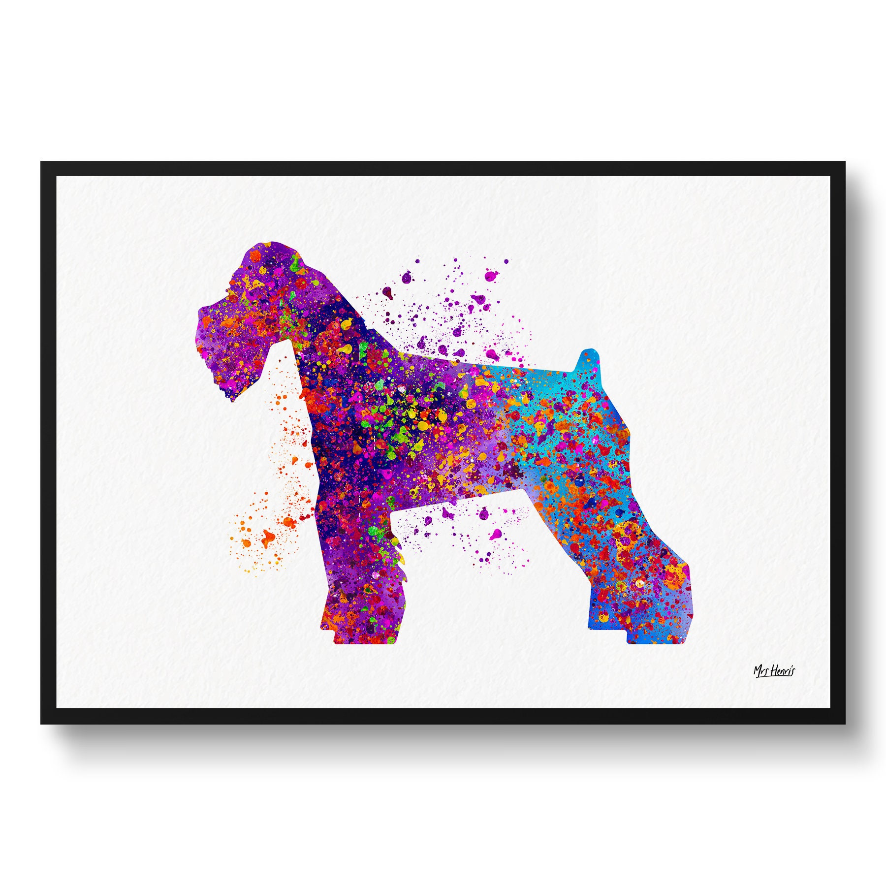 Schnauzer Watercolour Dog Print - Splash Veterinary Decor Gift Illustration Framed & Unframed Wall Art For Lovers & Vets