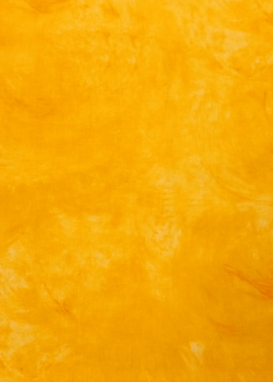 Yellow Blender Companion Fabrics To Go With The Sunflower Panel From Frond Design Studios For Northcott Fabrics. Free Shipping