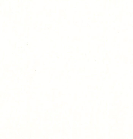 Bella Solids - Porcelain Solid Blender Premium Quality Cotton Quilt Fabric From Moda Fabrics 9900-182 | W5953