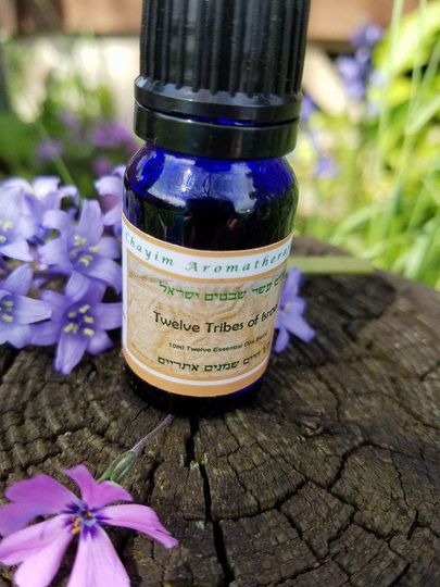 Tribes - Twelve Tribes Essential Oil Blend - Shevtim Yisroel 10Ml שנים עשר שבטים ישראל