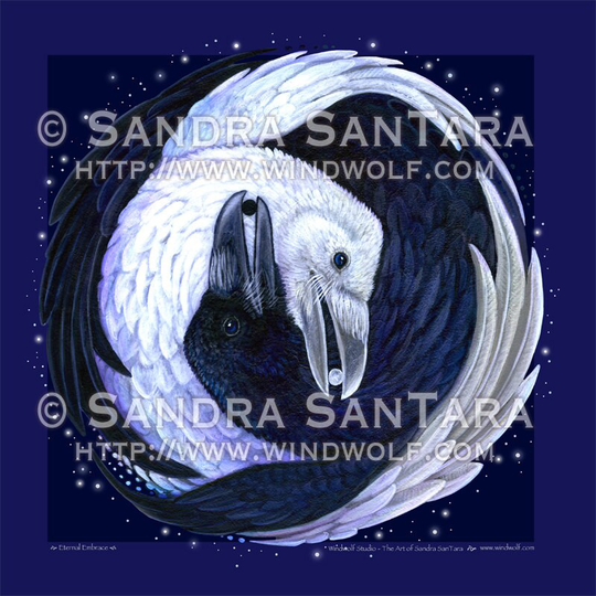Raven Yin Yang Banner