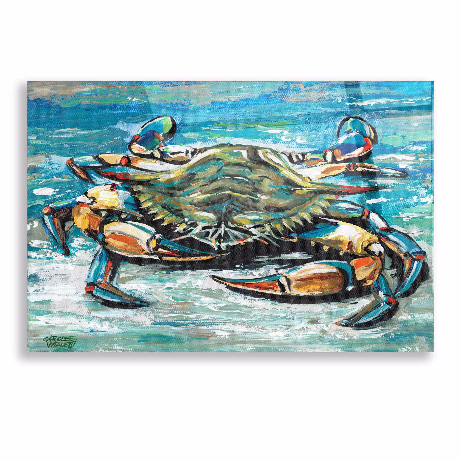 Acrylic Glass Wall Art "Blue Palette Crab I' By Carolee Vitaletti