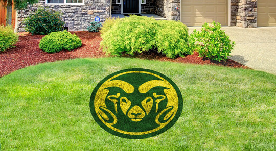 Colorado State Rams - Lawn Stencil Includes Paint