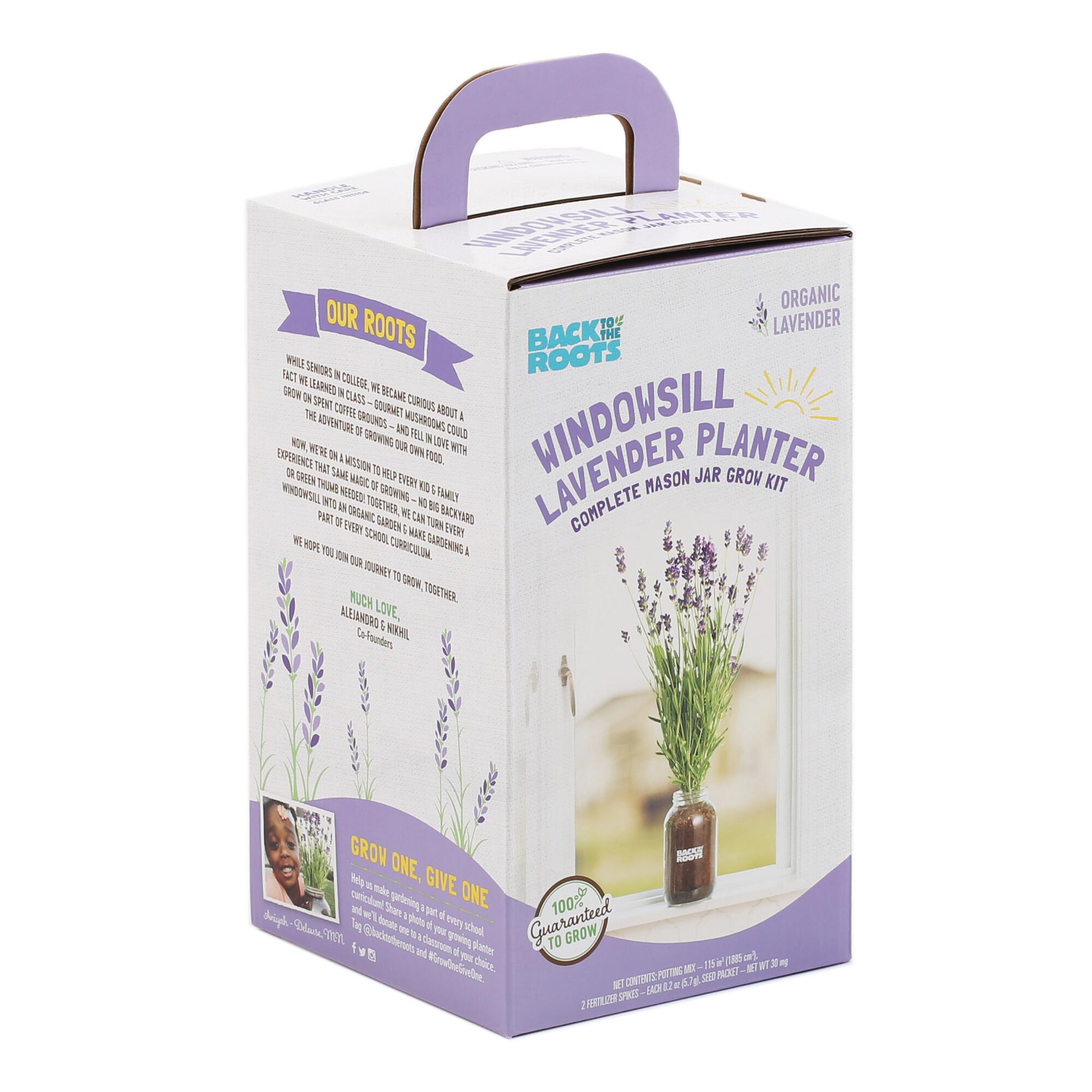 Back to the Roots Organic Lavender Windowsill Grow Kit: Multi - Glass by World Market