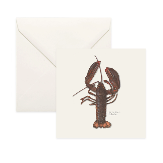 Lobsters Canadian/Lobster Notecard Thank You Card Message Nature Illustration Crustacean Shellfish Seafood Culinary