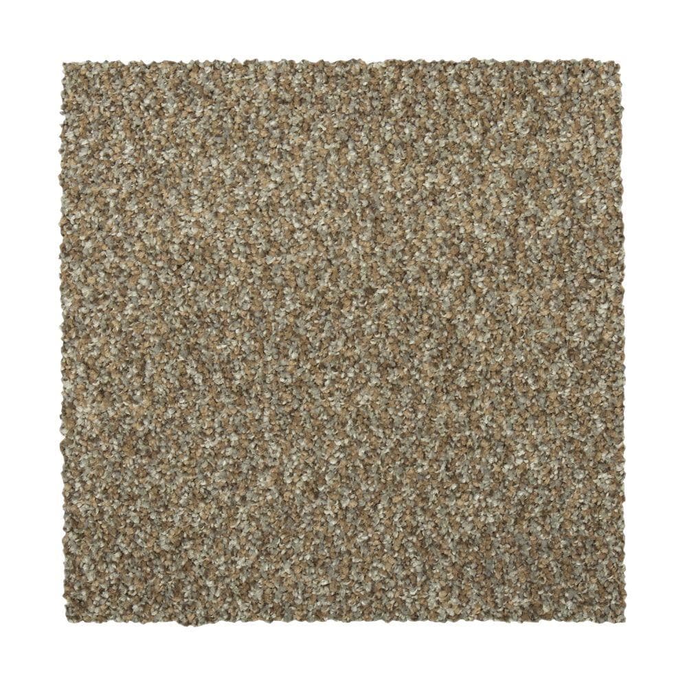 STAINMASTER Vibrant blend II Cancun Carpet Sample Polyester in Brown | STP33-L003-0808