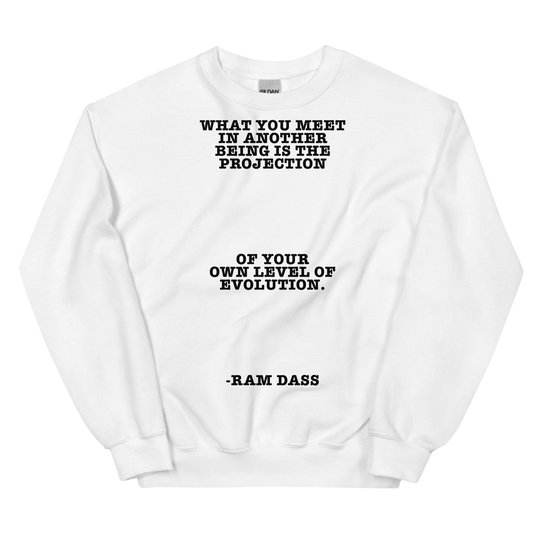 What You Meet in Another Being Is The Projection Of Your Own Level Evolution Sweatshirt