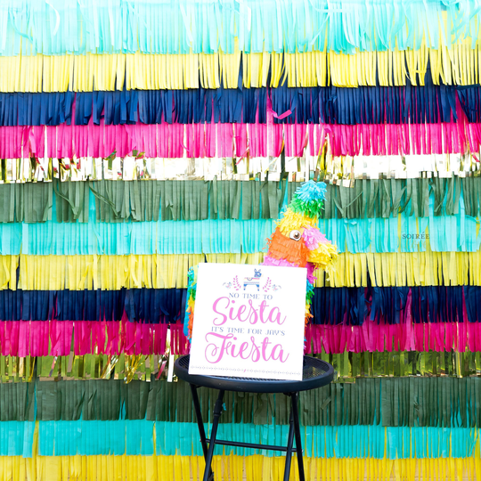 Mod Fiesta Diy Fringe Backdrop | Multi-Color Paper Photo, Banner, Cinco De Mayo, Taco Party, Engagement, Birthday, Cactus, Bridal