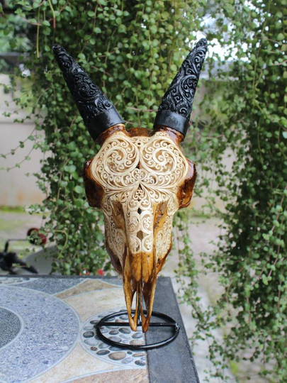 Goat Skull - Original Carved Goat With Horn Carving