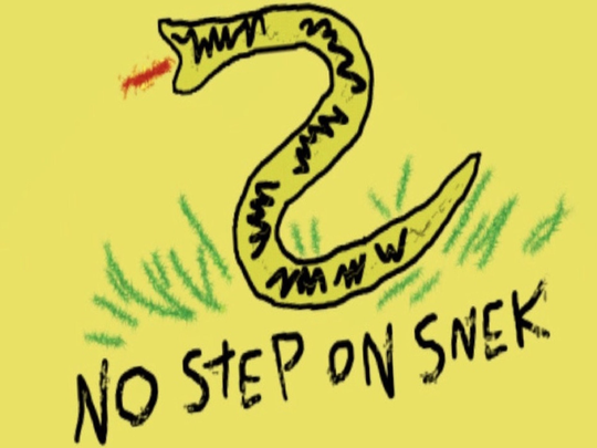 No Step On Snek Alumilite Pen Blank #95