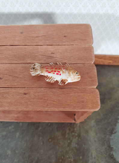 Miniature Fish Grouper For Dollhouse Food Seafood Grocer Grocery Store 1 1/4"