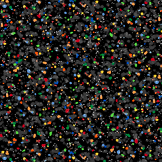 Speckles Fabric Polka Dot Blender Black Multi Color Qt Fabrics - Sold By The 1/2 Yard Cut From Bolt