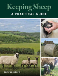 Keeping Sheep Jack Cockburn Author