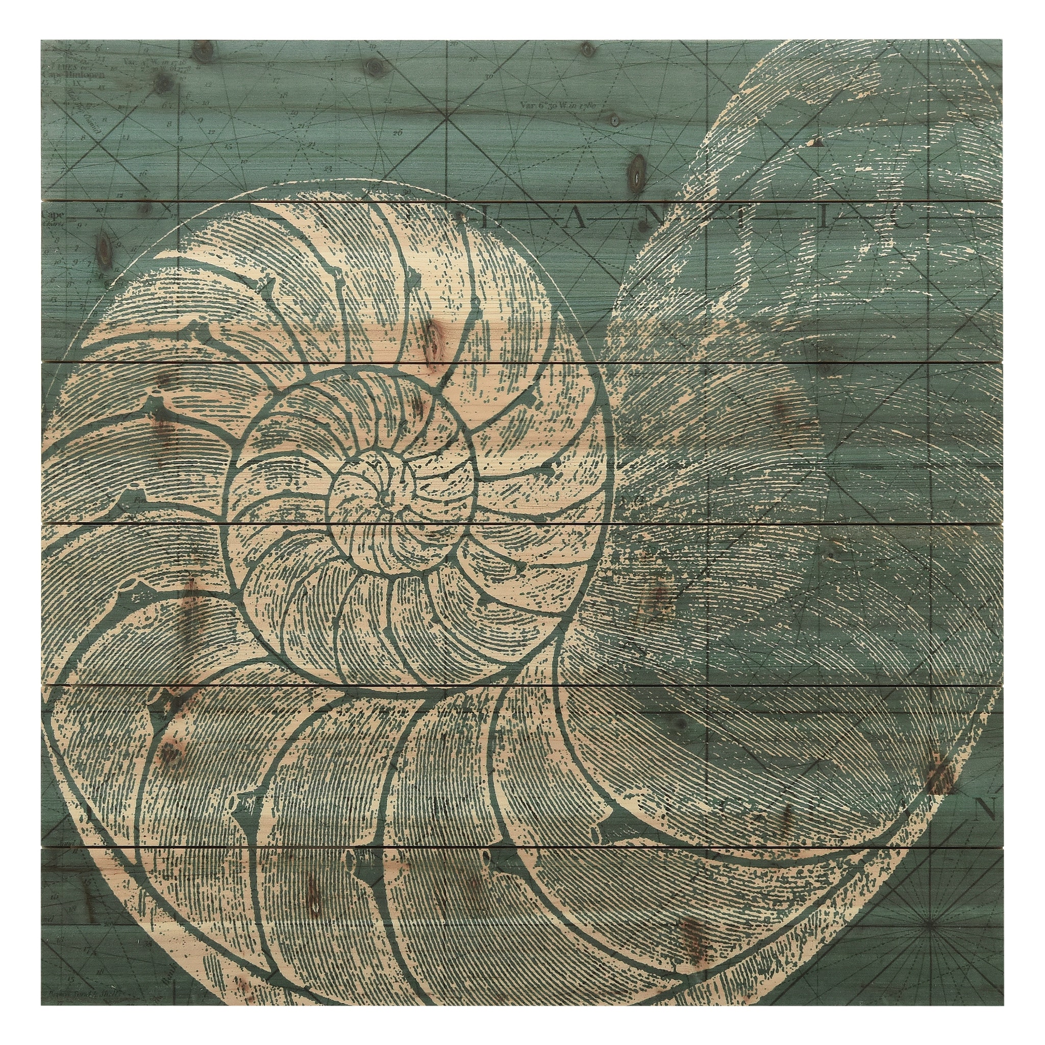 Empire Art Direct Wood Wall Art 24-in H x 24-in W Animals Wood Print | ADL-41668-2424