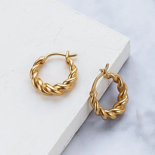 Anne Earrings, Hoop Circle Twisted Hoop, Gold & Silver Jewelry