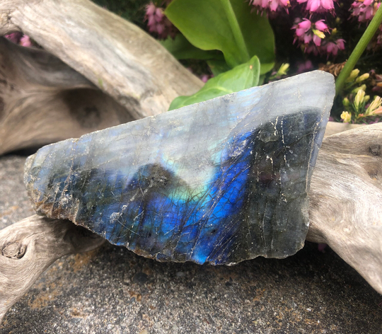 stunning Blue High Grade Half Polished Labradorite Crystal