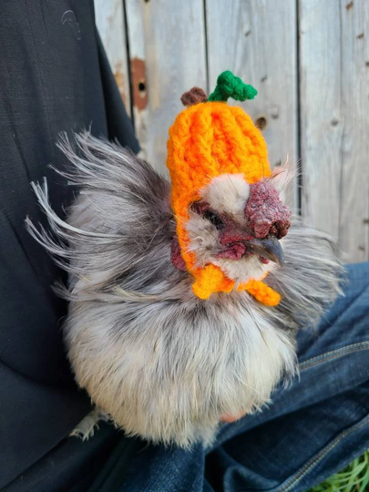 Chicken Hat/ Pumpkin Hat, Goose Banty Hat, Duck Crochet Hat/Chicken Costume/Hat For A /Chicken Lover/ Fall Hat
