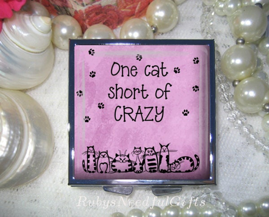 Square Pill Case, Cat Crazy Box, Container, Best Friend Gift, Medicine Organiser, 4 Compartments, Cats