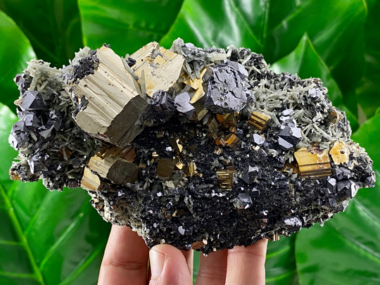 Top Combination Of Large Cubes Pyrite With Galena, Sphalerite & Quartz From Gidurska Mine, Zlatograd, Bulgaria, Mineral Collections