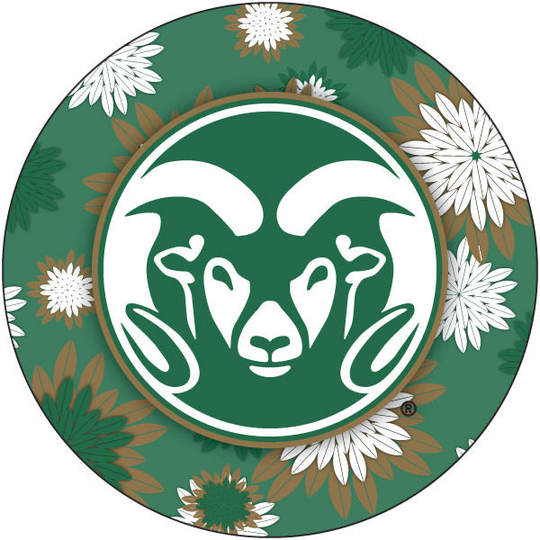R and R Imports, Inc Colorado State Rams NCAA Collegiate Trendy Floral Flower Fashion Pattern 4 Inch Round Decal Sticker