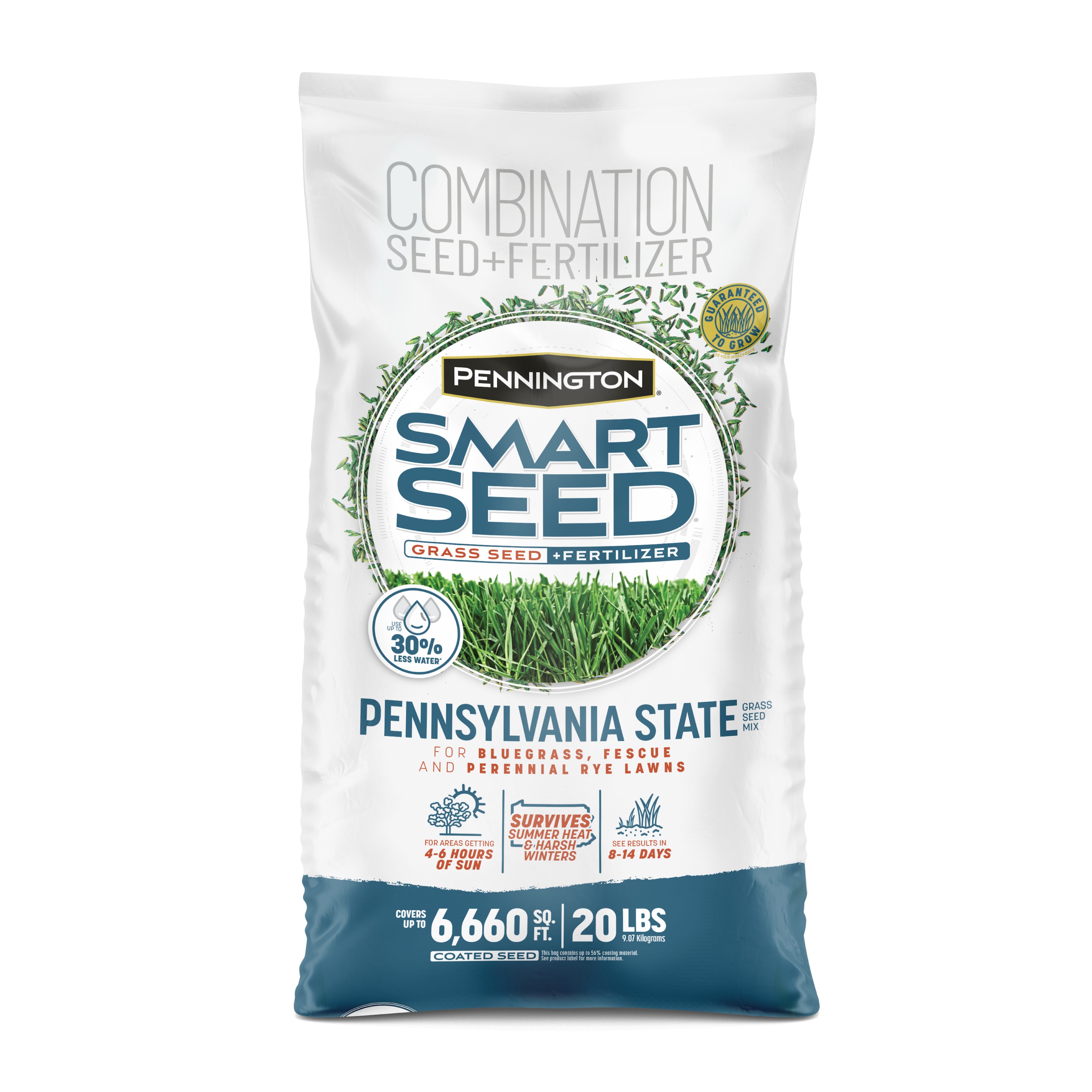 Pennington Smart Seed Penn State 20-lb Mixture/Blend Grass Seed | 2149602275