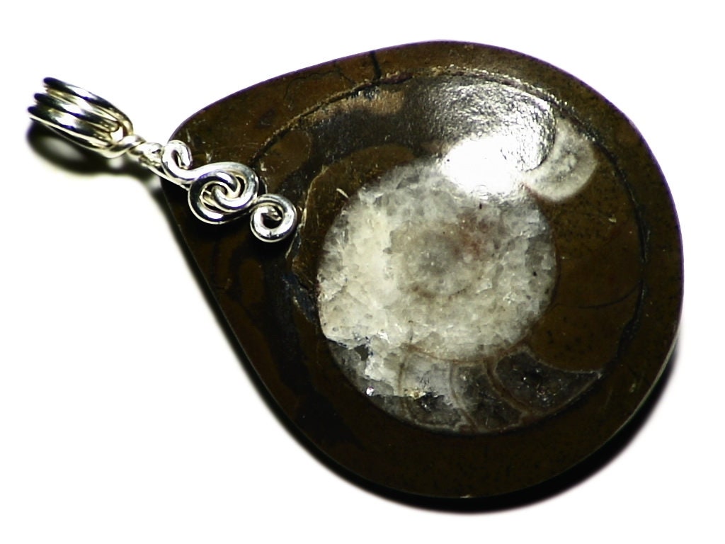Wire Wrapped Fossil Pendant, Ammonite Wrap Jewelry, Sterling Silver Necklace, Jewelry
