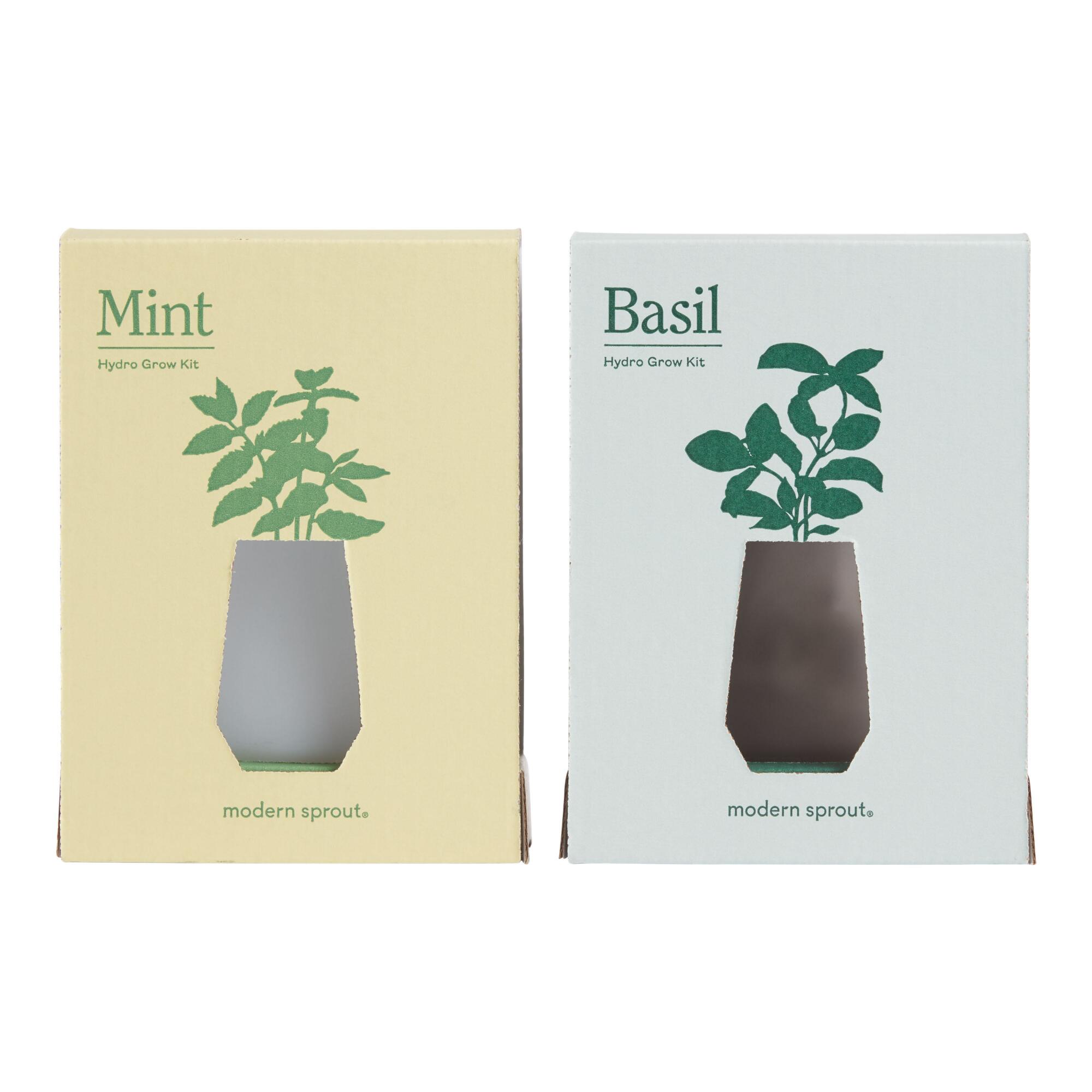 Modern Sprout Tumbler Fresh Herb Hydro Grow Kits Set of 2 by World Market