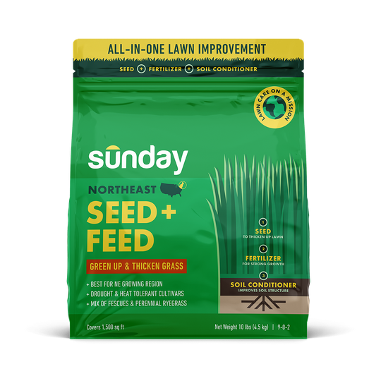 Sunday Northeast Seed + Feed 10 lbs. Natural Mixture/Blend Grass Seed | FF2027