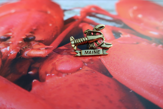 Maine Lobster Gold Dipped Pewter Lapel Pin - Cc130G - Maine, Lobster, & Seafood Pins