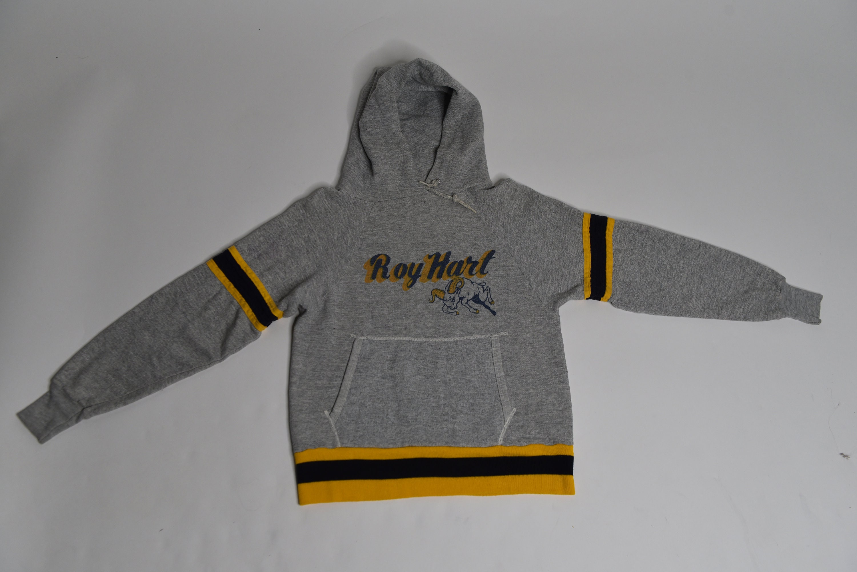 Flippin' Awesome Vintage 1970's Roy-Hart Champion Blue Bar Hoodie Sweatshirt