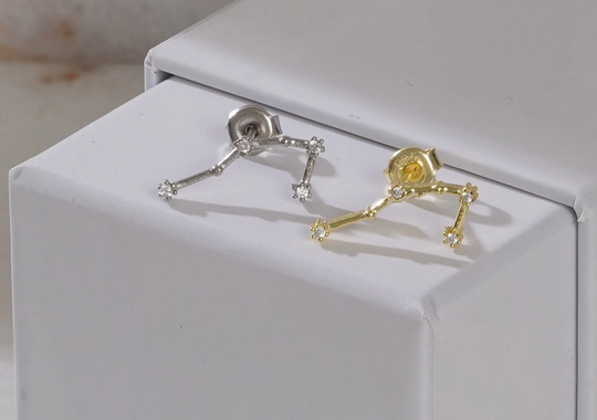 Taurus Earring, Zodiac Constellation Earrings, Studs, Astrology Horoscope Earring