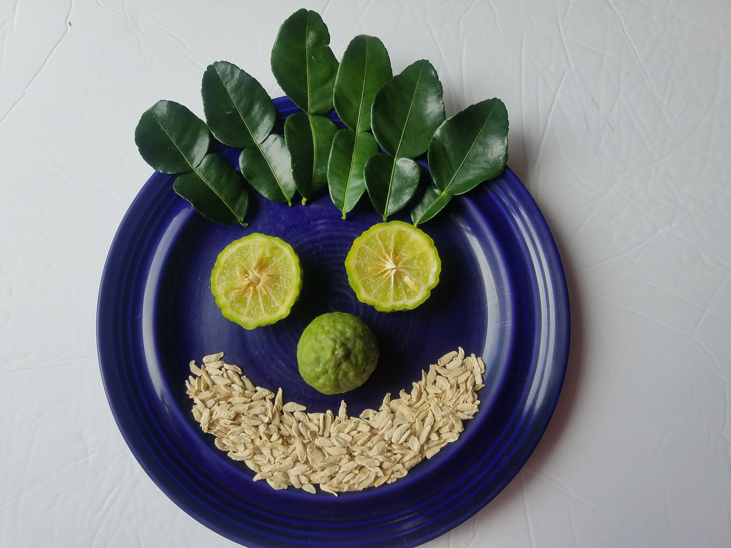 Kaffir Lime Seeds, 12 Kaffir Seed Lime, Citrus Hystrix, Tree