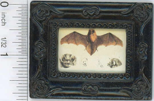 Dollhouse Miniature Black Framed Print Of A Brown Vintage Bat Illustration