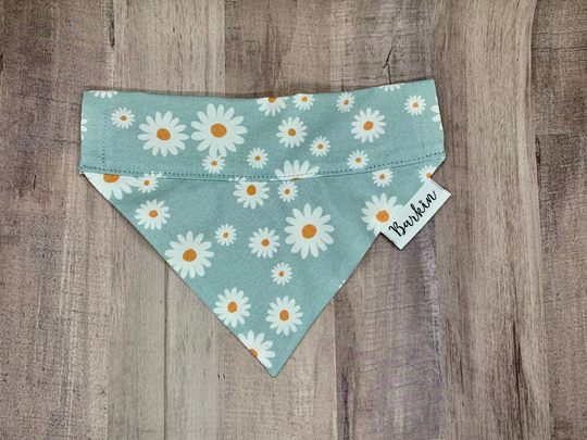Baby Blue Daisies Over The Collar Dog Bandana