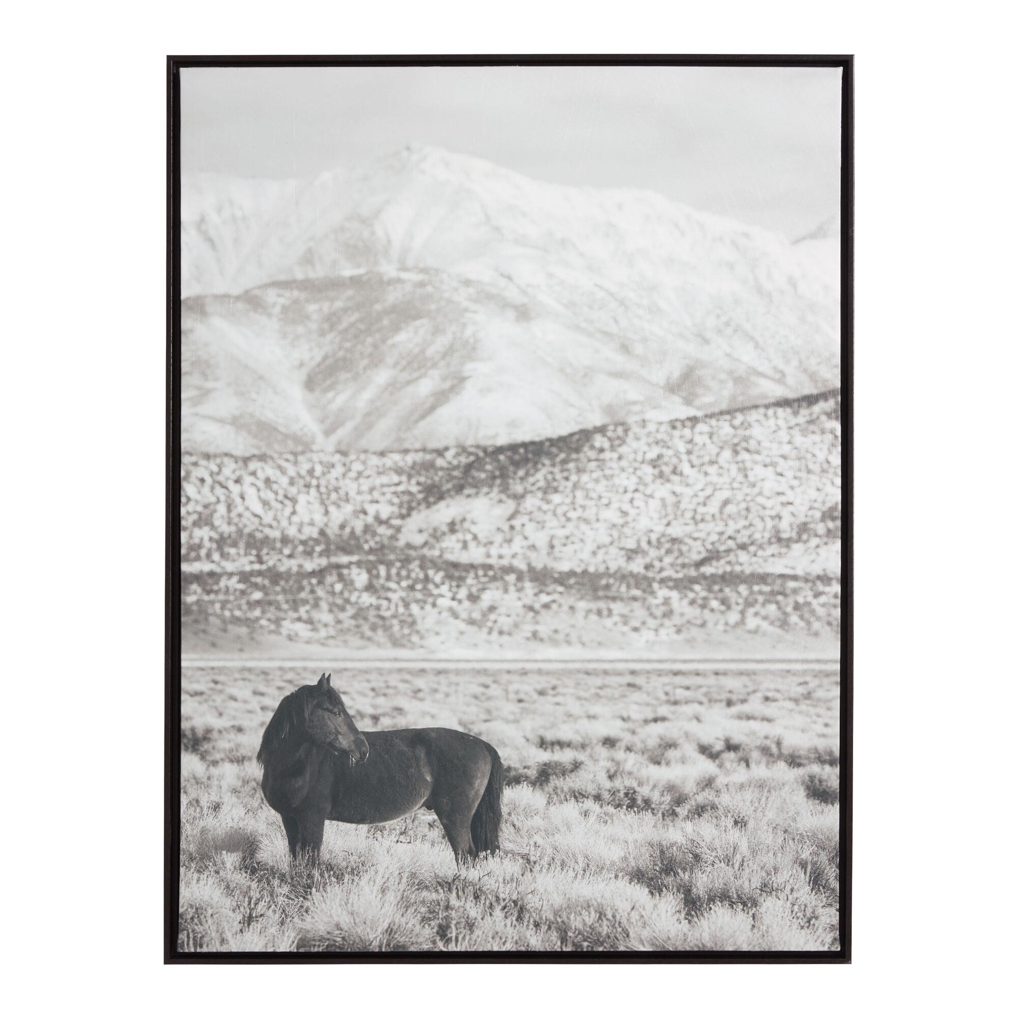 Horse And Hills Black And White Framed Canvas Wall Art: Black/Gray by World Market
