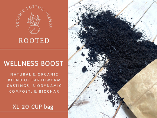 Organic Plant Fertilizer Wellness Boost Blend Of Worm Castings, Compost, Biochar For Topdressing, Transplant & Compost Tea