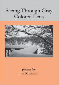 Seeing Through Gray Colored Lens Joe Millard Author