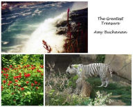 The Greatest Treasure Amy Buchanan Author