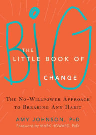 The Little Book of Big Change Amy Johnson Author