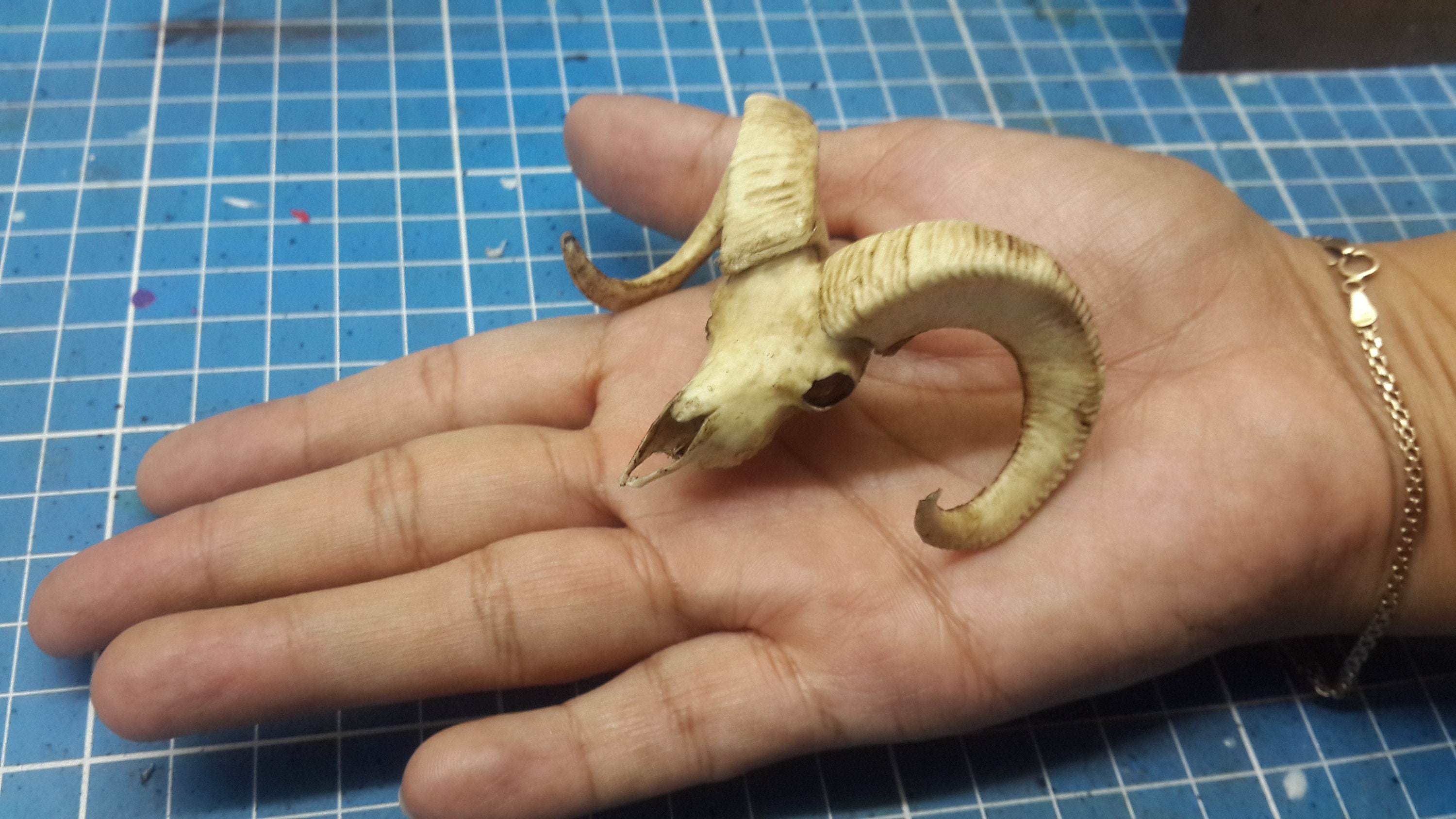 Ram Skull 1/6 Scale Replica