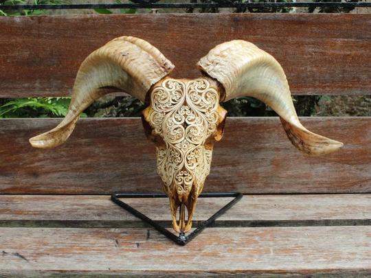 Carved Ram Skull - Real Hand Carved Util Pattern Motif