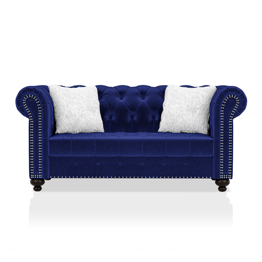 Furniture of America Gallean Modern Blue Polyester/Blend Loveseat | IDF-6240BL-LV